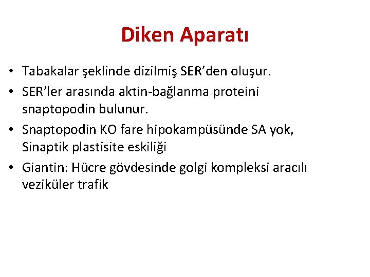 Diken Aparatı • Tabakalar şeklinde dizilmiş SER’den oluşur. • SER’ler arasında aktin-bağlanma proteini snaptopodin