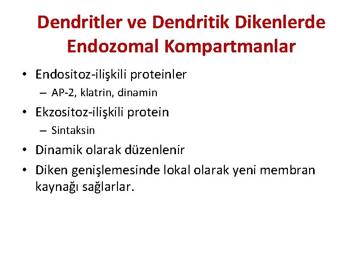 Dendritler ve Dendritik Dikenlerde Endozomal Kompartmanlar • Endositoz-ilişkili proteinler – AP-2, klatrin, dinamin •