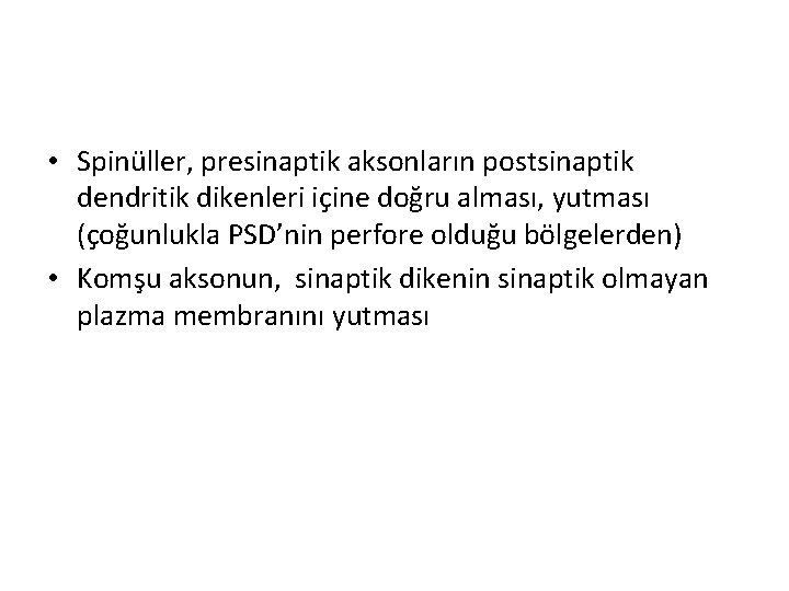  • Spinüller, presinaptik aksonların postsinaptik dendritik dikenleri içine doğru alması, yutması (çoğunlukla PSD’nin
