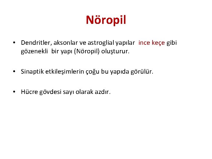 Nöropil • Dendritler, aksonlar ve astroglial yapılar ince keçe gibi gözenekli bir yapı (Nöropil)