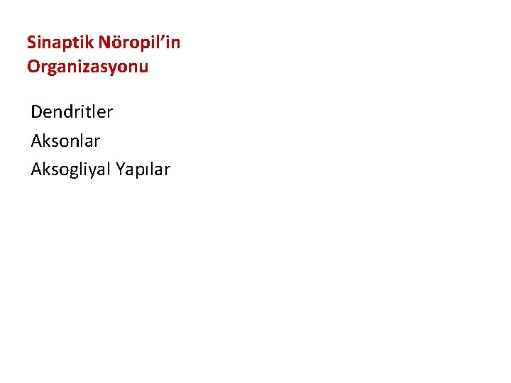 Sinaptik Nöropil’in Organizasyonu Dendritler Aksonlar Aksogliyal Yapılar 