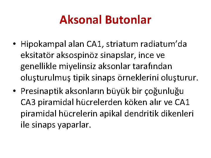 Aksonal Butonlar • Hipokampal alan CA 1, striatum radiatum’da eksitatör aksospinöz sinapslar, ince ve