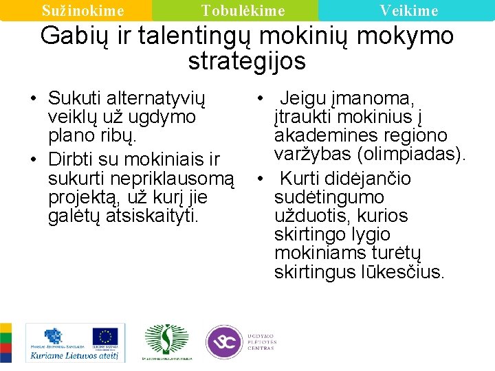 Sužinokime Tobulėkime Veikime Gabių ir talentingų mokinių mokymo strategijos • Sukuti alternatyvių veiklų už