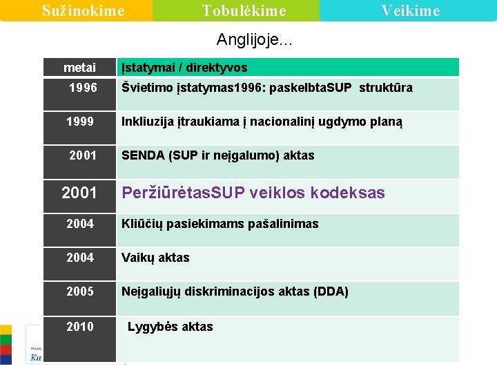 Sužinokime Tobulėkime Veikime Anglijoje. . . metai Įstatymai / direktyvos 1996 Švietimo įstatymas 1996:
