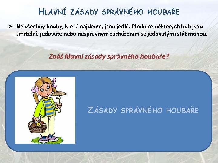 HLAVNÍ ZÁSADY SPRÁVNÉHO HOUBAŘE Ø Ne všechny houby, které najdeme, jsou jedlé. Plodnice některých