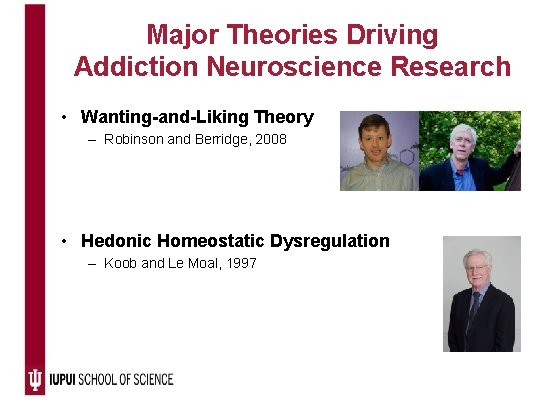 Major Theories Driving Addiction Neuroscience Research • Wanting-and-Liking Theory – Robinson and Berridge, 2008