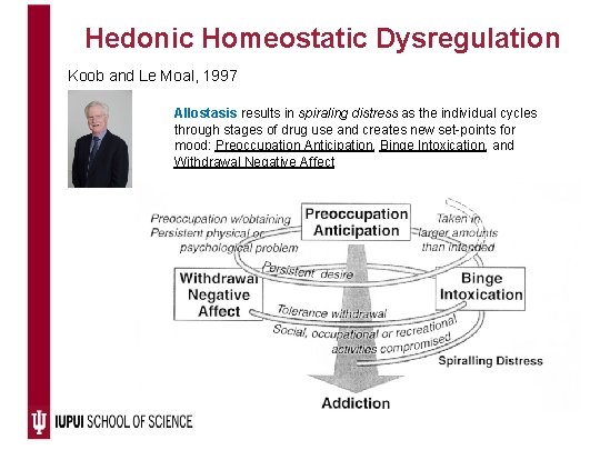 Hedonic Homeostatic Dysregulation Koob and Le Moal, 1997 Allostasis results in spiraling distress as