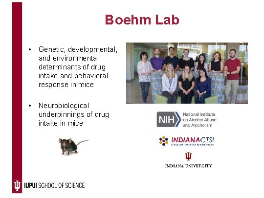 Boehm Lab • Genetic, developmental, and environmental determinants of drug intake and behavioral response