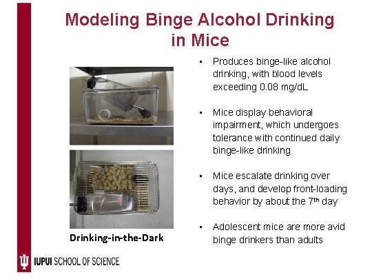 Modeling Binge Alcohol Drinking in Mice Drinking-in-the-Dark • Produces binge-like alcohol drinking, with blood