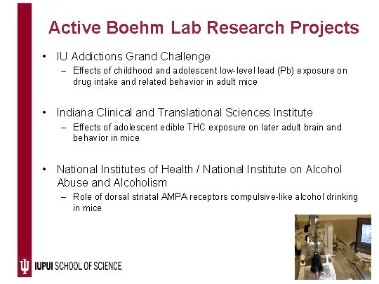 Active Boehm Lab Research Projects • IU Addictions Grand Challenge – Effects of childhood