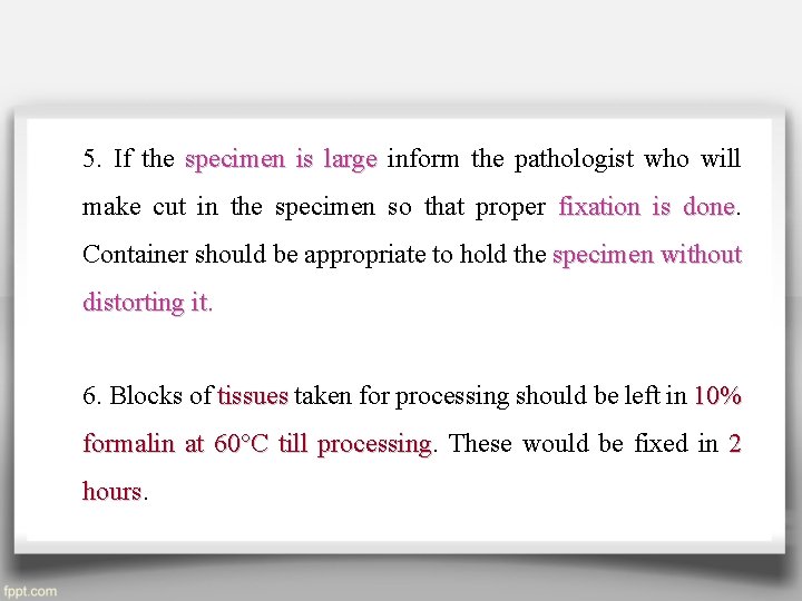 5. If the specimen is large inform the pathologist who will make cut in