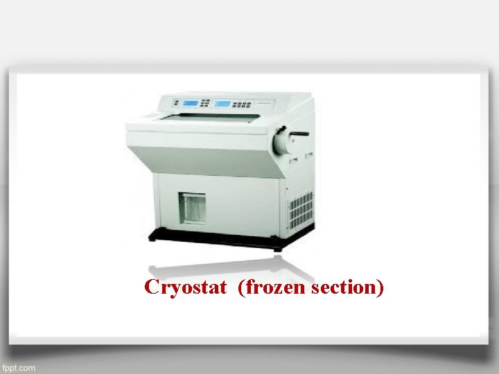 Cryostat (frozen section) 