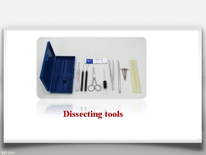 Dissecting tools 