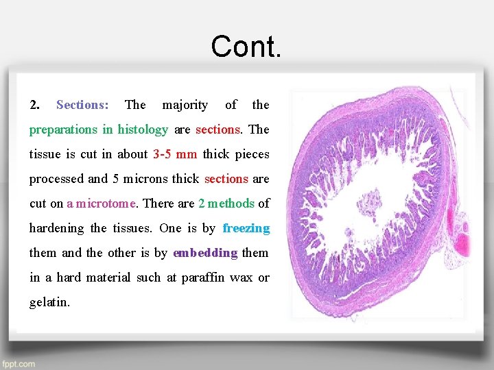 Cont. 2. Sections: The majority of the preparations in histology are sections The tissue