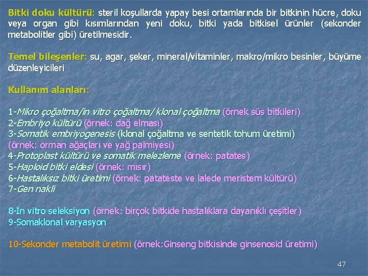 Bitki doku kültürü: steril koşullarda yapay besi ortamlarında bir bitkinin hücre, doku veya organ