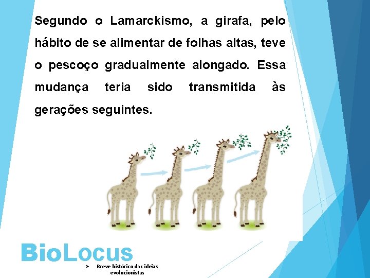 Segundo o Lamarckismo, a girafa, pelo hábito de se alimentar de folhas altas, teve