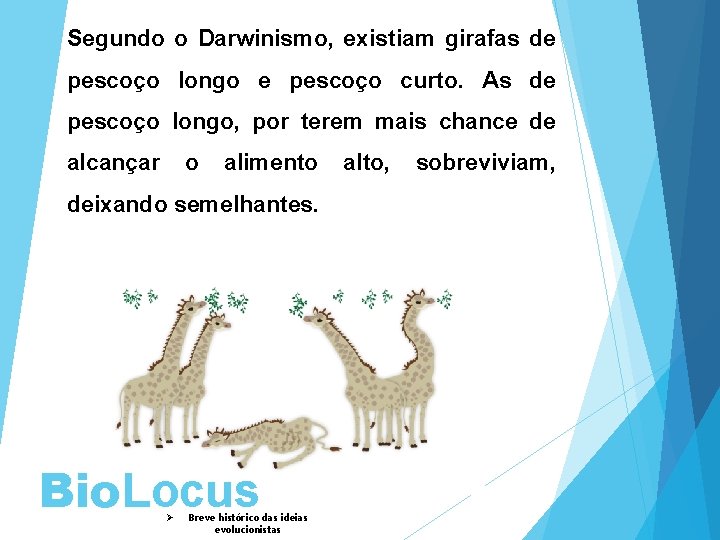 Segundo o Darwinismo, existiam girafas de pescoço longo e pescoço curto. As de pescoço
