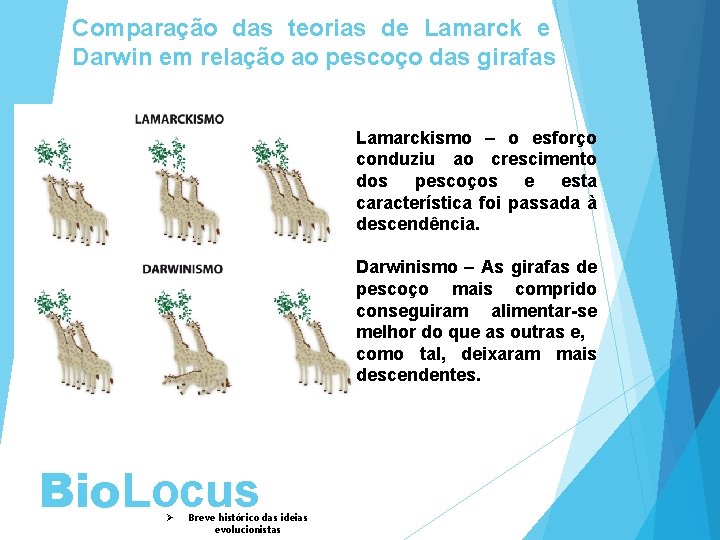 Comparação das teorias de Lamarck e Darwin em relação ao pescoço das girafas Lamarckismo