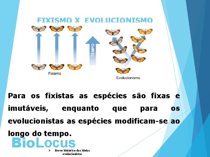 FIXISMO X EVOLUCIONISMO Para os fixistas as espécies são fixas e imutáveis, enquanto que