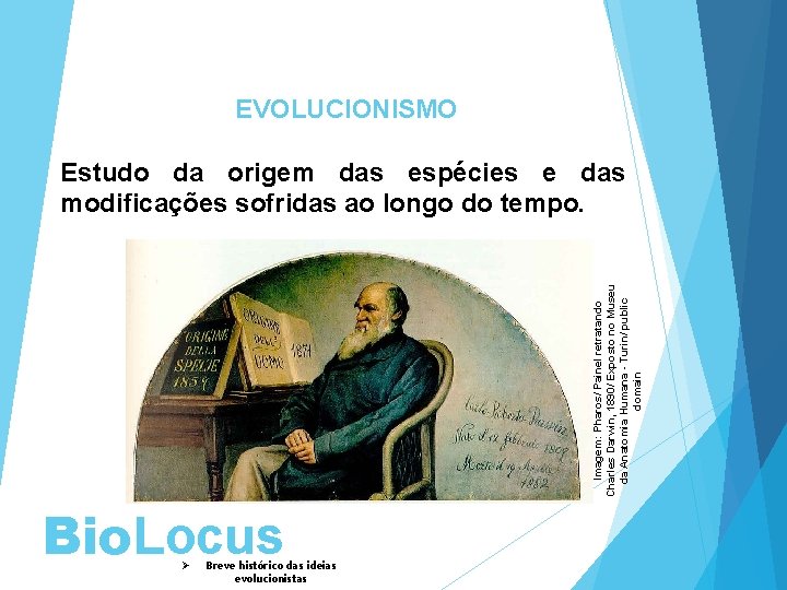 BIOLOGIA, 3º ano As teoria de Lamarck e Darw EVOLUCIONISMO Estudo da origem das