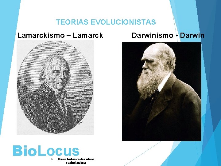 TEORIAS EVOLUCIONISTAS Lamarckismo – Lamarck Darwinismo - Darwin Bio. Locus Ø Breve histórico das