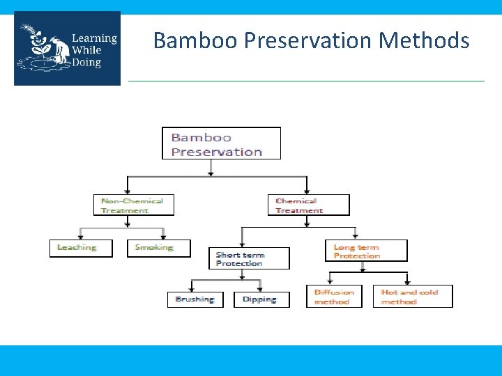 Bamboo Preservation Methods 