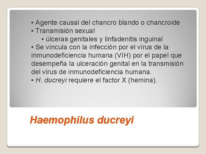  • Agente causal del chancro blando o chancroide • Transmisión sexual • úlceras