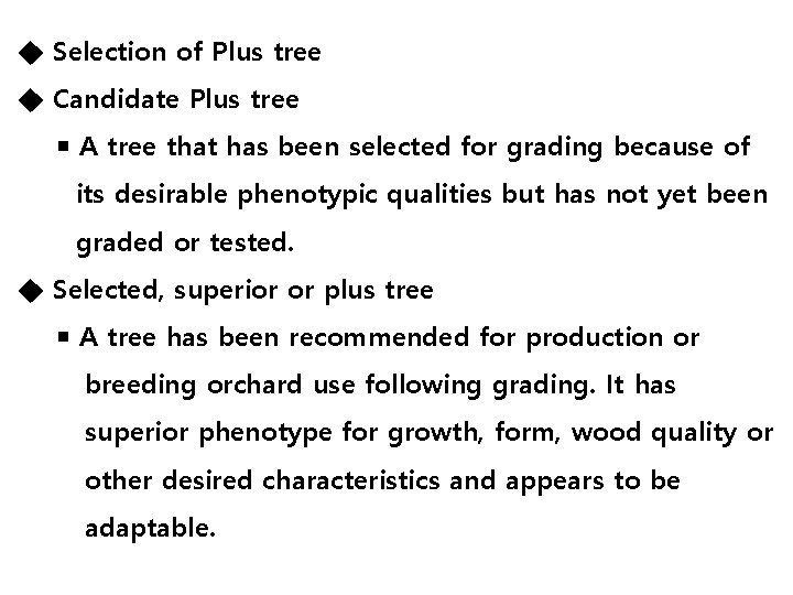 ◆ Selection of Plus tree ◆ Candidate Plus tree ￭ A tree that has