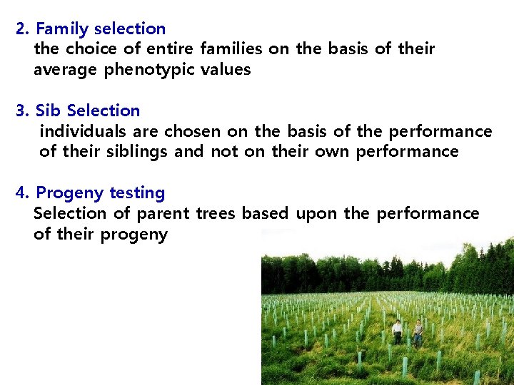 2. Family selection the choice of entire families on the basis of their average