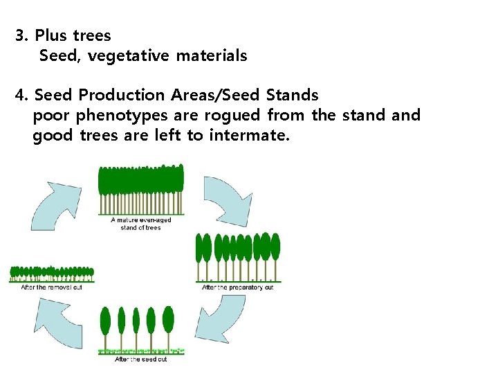 3. Plus trees Seed, vegetative materials 4. Seed Production Areas/Seed Stands poor phenotypes are