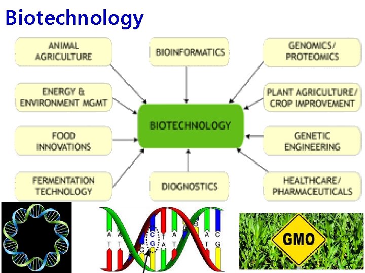 Biotechnology 