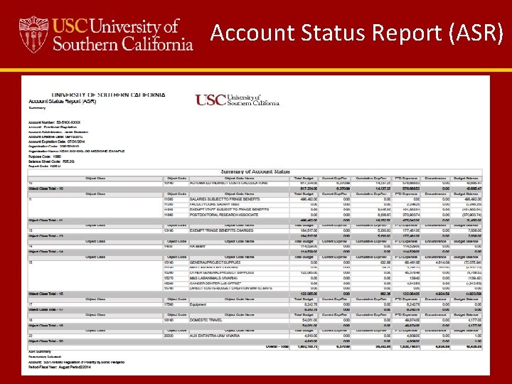 Account Status Report (ASR) 