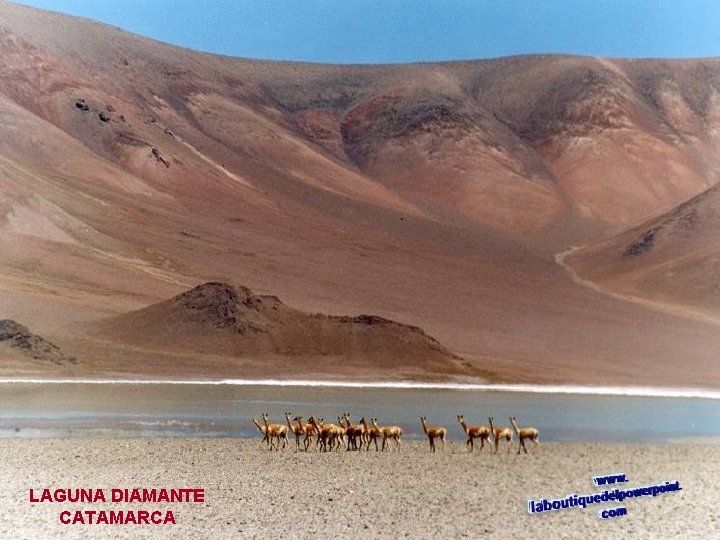 LAGUNA DIAMANTE CATAMARCA 