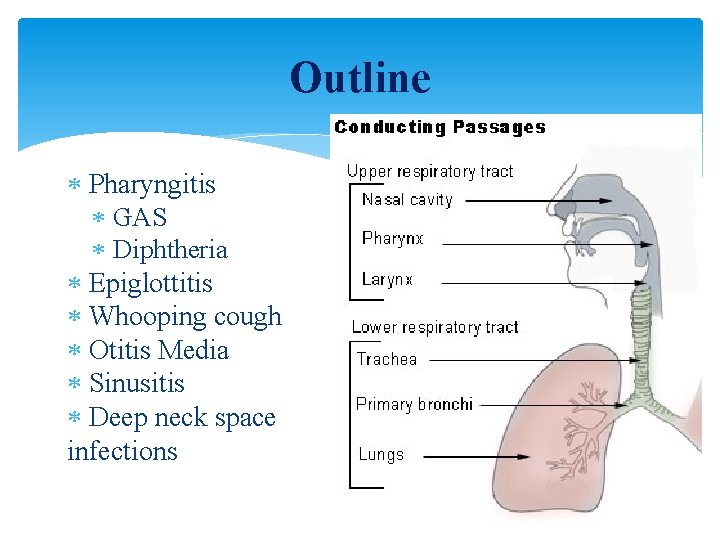 Outline Pharyngitis GAS Diphtheria Epiglottitis Whooping cough Otitis Media Sinusitis Deep neck space infections