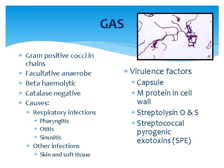 GAS Gram positive cocci in chains Facultative anaerobe Beta haemolytic Catalase negative Causes: Respiratory