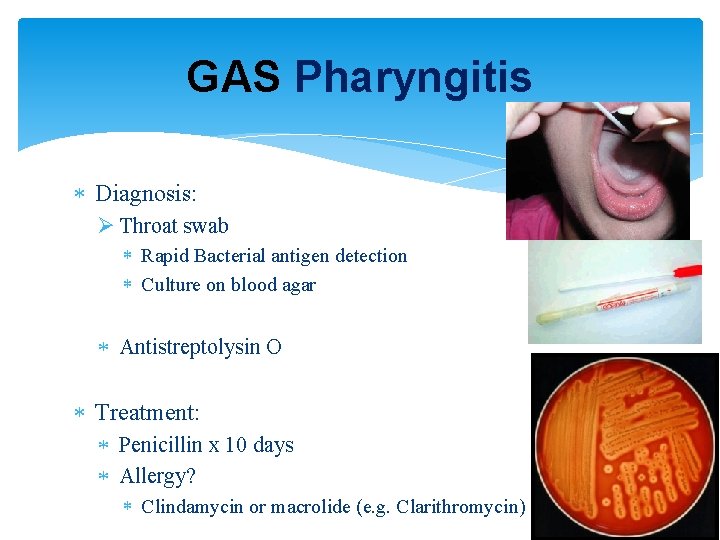 GAS Pharyngitis Diagnosis: Ø Throat swab Rapid Bacterial antigen detection Culture on blood agar