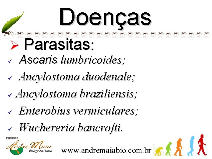 Doenças Ø Parasitas: Ascaris lumbricoides; ü Ancylostoma duodenale; ü Ancylostoma braziliensis; ü Enterobius vermiculares;