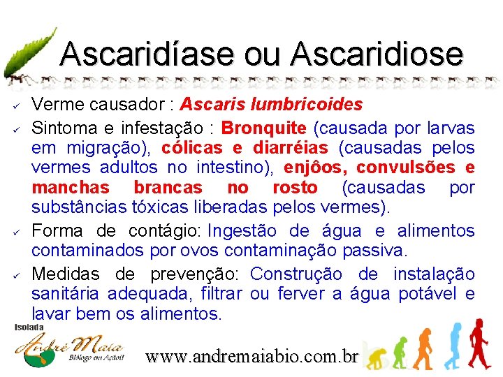 Ascaridíase ou Ascaridiose ü ü Verme causador : Ascaris lumbricoides Sintoma e infestação :