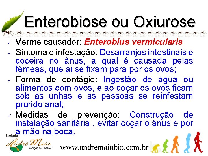 Enterobiose ou Oxiurose ü ü Verme causador: Enterobius vermicularis Sintoma e infestação: Desarranjos intestinais