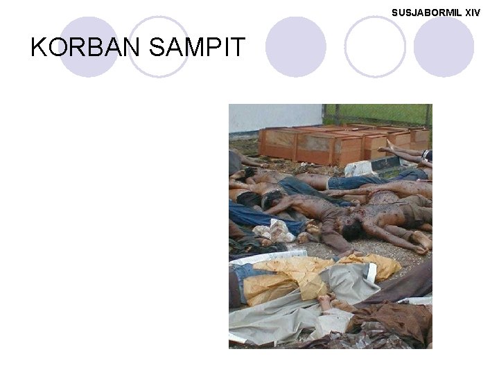 SUSJABORMIL XIV KORBAN SAMPIT 