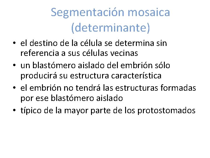 Segmentación mosaica (determinante) • el destino de la célula se determina sin referencia a