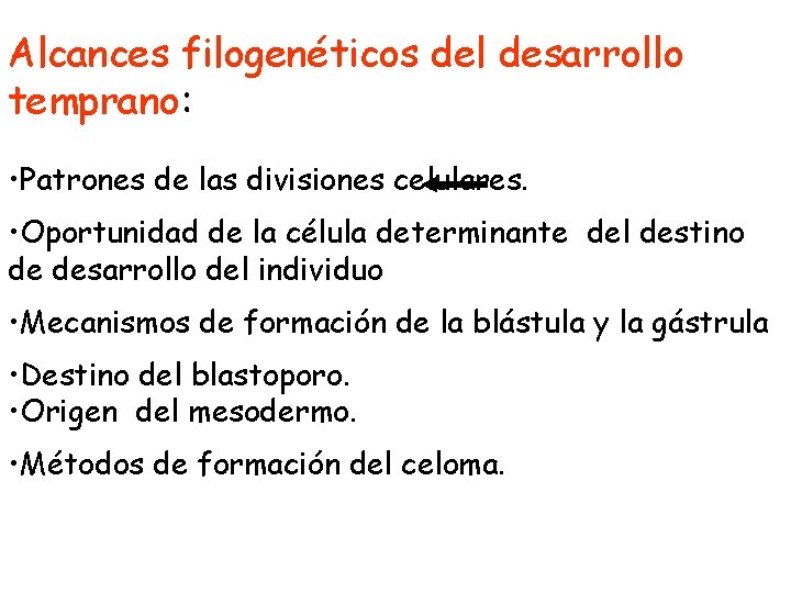 Alcances filogenéticos del desarrollo temprano: • Patrones de las divisiones celulares. • Oportunidad de