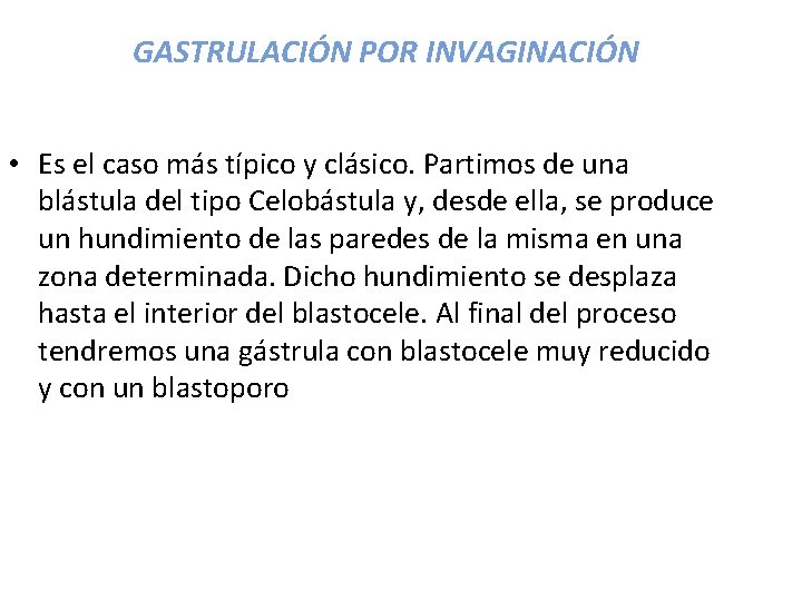 GASTRULACIÓN POR INVAGINACIÓN • Es el caso más típico y clásico. Partimos de una