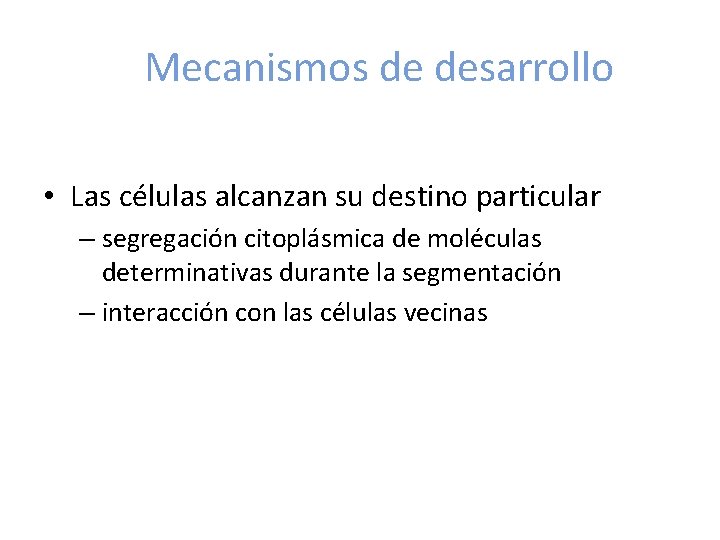 Mecanismos de desarrollo • Las células alcanzan su destino particular – segregación citoplásmica de