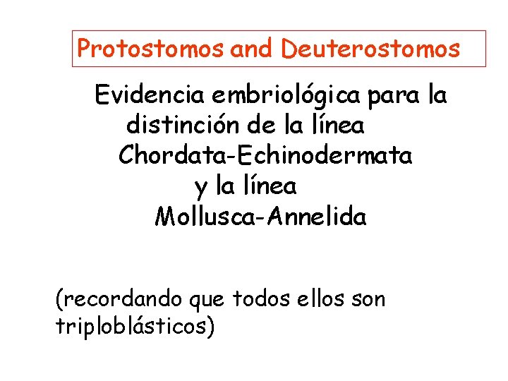 Protostomos and Deuterostomos Evidencia embriológica para la distinción de la línea Chordata-Echinodermata y la