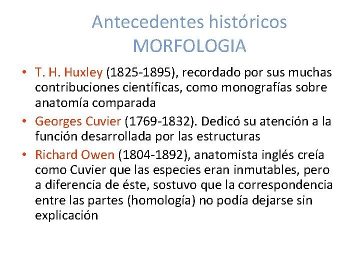 Antecedentes históricos MORFOLOGIA • T. H. Huxley (1825 -1895), recordado por sus muchas contribuciones