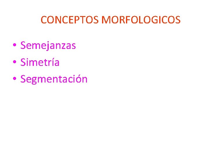 CONCEPTOS MORFOLOGICOS • Semejanzas • Simetría • Segmentación 