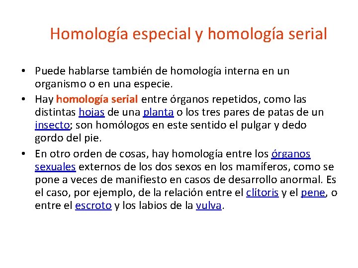 Homología especial y homología serial • Puede hablarse también de homología interna en un