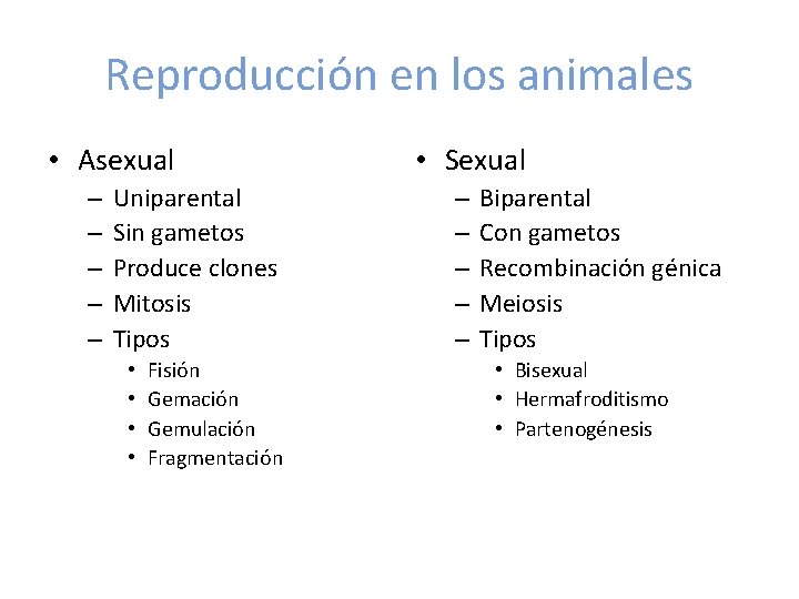 Reproducción en los animales • Asexual – – – Uniparental Sin gametos Produce clones