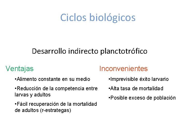 Ciclos biológicos Desarrollo indirecto planctotrófico Ventajas Inconvenientes • Alimento constante en su medio •